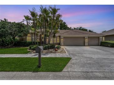 Charming single-story home featuring a well-manicured lawn, mature palm trees, and a three-car garage at 1046 Middlesex Dr, New Port Richey, FL 34655
