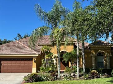 Beautiful single-story home with a brown roof, well-manicured landscaping and multiple palm trees in the front yard at 1353 El Pardo Dr, Trinity, FL 34655