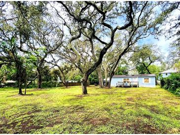 Charming home with light blue siding and a lush lawn, surrounded by mature trees and a welcoming deck at 1821 Weekend Ln, Odessa, FL 33556