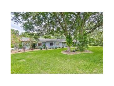 This home has lush green lawn and trees, and a view of the exterior showcasing its windows at 820 Crenshaw Lake Rd, Lutz, FL 33548