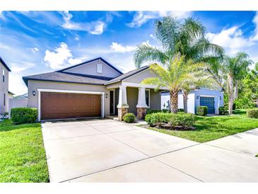 Charming single-story home with a well-manicured lawn and a two-car garage at 11011 Little Blue Heron Dr, Riverview, FL 33579