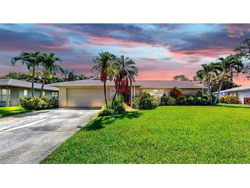 Charming single-story home with a lush green lawn, mature palm trees, and a two-car garage at 8671 11Th N St, St Petersburg, FL 33702