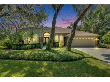 Charming single-story home with a well-manicured lawn and mature trees creating a serene setting at 5804 Terncrest Dr, Lithia, FL 33547