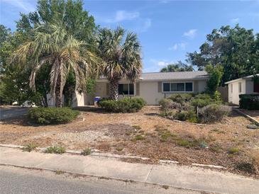 Single story home with a lawn featuring mature palms and a traditional, symmetrical facade at 7519 Kensico Dr, Port Richey, FL 34668