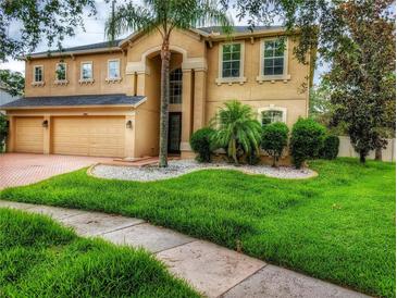 Beautiful home with lush front lawn and mature palm tree at 29916 Cedar Waxwing Dr, Wesley Chapel, FL 33545