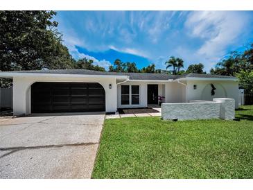 Charming single-story home with a dark-colored garage door and manicured lawn under a bright blue sky at 3411 Glossy Ibis Ct, Palm Harbor, FL 34683
