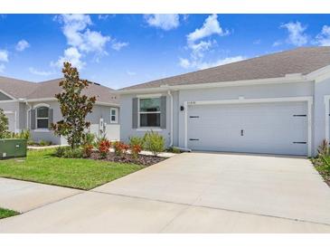 Charming home exterior features a well-manicured lawn, beautiful landscaping, and an attached two-car garage at 31426 Ancient Sage Rd, Wesley Chapel, FL 33545