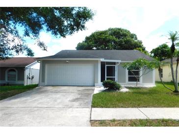 Charming single-story home featuring an attached garage, well-manicured lawn, and inviting curb appeal at 2114 Intervista Ln, Valrico, FL 33594