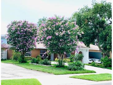 Charming single story home with a well manicured lawn, driveway and covered carport at 402 Evergreen Dr, Oldsmar, FL 34677