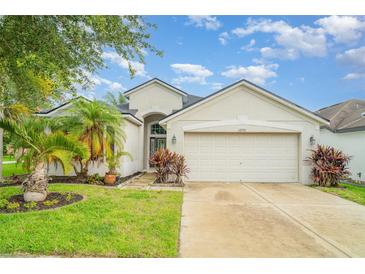 Charming single-story home with a two-car garage, manicured lawn, and tropical landscaping at 12721 Avelar Creek Dr, Riverview, FL 33578