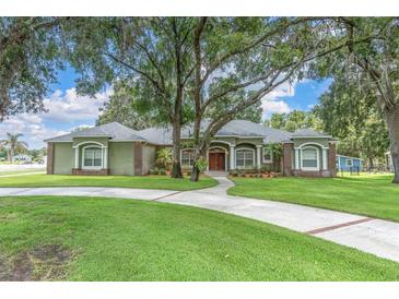 Beautiful single-story home featuring mature trees, a curved driveway, and a well-manicured lawn at 11008 Nest Ct, Odessa, FL 33556