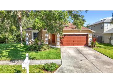 Charming single-Gathering home with a well-manicured front lawn and a two-car garage at 10323 Birdwatch Dr, Tampa, FL 33647