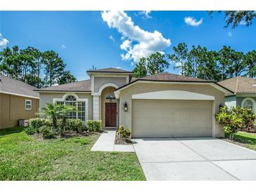 Inviting single-story home with a two-car garage, arched entryway, manicured lawn, and lush green landscaping at 11837 Derbyshire Dr, Tampa, FL 33626