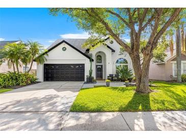 Charming single-Gathering home with manicured lawn and a black two-car garage at 14509 Thornfield Ct, Tampa, FL 33624