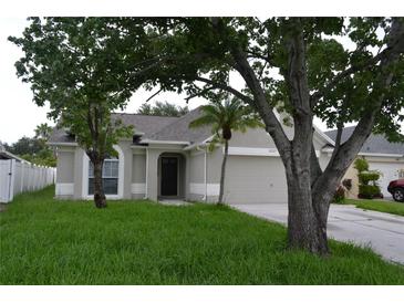 Charming single-story home with a well-manicured lawn and mature trees in a quiet neighborhood at 11227 Thicket Ct, Tampa, FL 33624