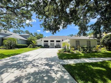 Beautifully landscaped home with manicured lawn, long driveway, and bright exterior paint at 3612 Cordgrass Dr, Valrico, FL 33596