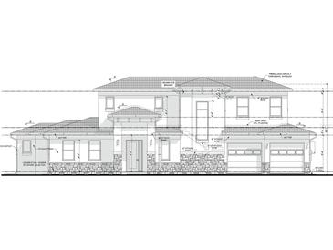 Detailed elevation rendering showing a two-story home with stucco and stone accents at 250 Larocca Ct, Palm Harbor, FL 34683