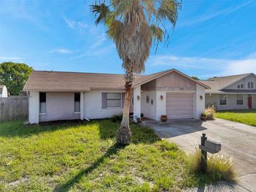 Charming single-story home featuring a palm tree in the front yard and a one car garage at 7619 Limington Dr, Port Richey, FL 34668