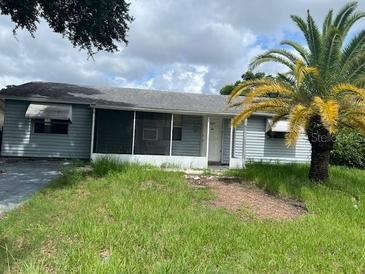 Single story home featuring an enclosed porch and tropical landscaping at 4244 Mesa Dr, New Port Richey, FL 34653