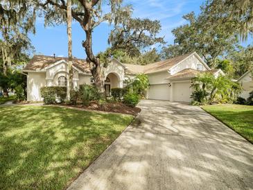 Photo one of 2528 Centennial Falcon Dr Valrico FL 33596 | MLS U8212025