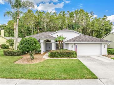 Photo one of 861 Centerwood Dr Tarpon Springs FL 34688 | MLS U8217181