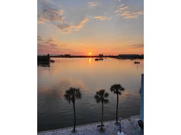 Beautiful sunset view over the water with palm trees in the foreground, offering a serene and tropical ambiance at 1848 Shore S Dr # 501, South Pasadena, FL 33707