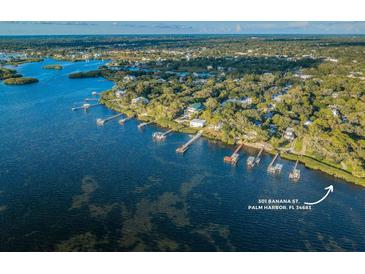 Photo one of 301 Banana St Palm Harbor FL 34683 | MLS U8221215