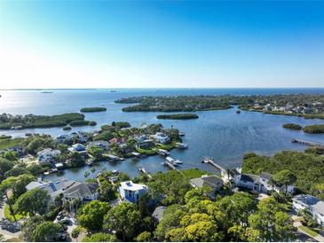 Waterfront community with numerous homes and lush greenery at 761 Soundview Dr, Palm Harbor, FL 34683