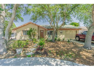 Photo one of 3049 Moog Rd Holiday FL 34691 | MLS U8240218