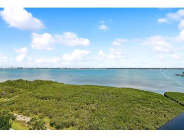 Photo one of 1501 Gulf Blvd # 606 Clearwater Beach FL 33767 | MLS U8240376