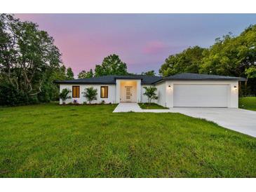 Photo one of 6407 Clearwater Dr Spring Hill FL 34606 | MLS U8240431