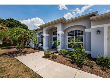 Charming single-story home with a well-manicured lawn, complemented by lush tropical landscaping and a welcoming walkway at 1032 Rosetree Ln, Tarpon Springs, FL 34689