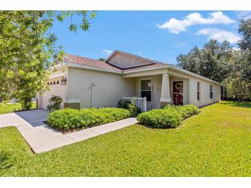 One-story house with front porch and lush landscaping at 4316 Old Waverly Ct, Wesley Chapel, FL 33543