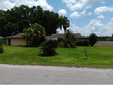 Single story home with large yard at 3754 Lake Joyce Dr, Land O Lakes, FL 34639
