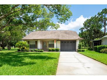 Photo one of 11511 Pampas Dr New Port Richey FL 34654 | MLS U8246899