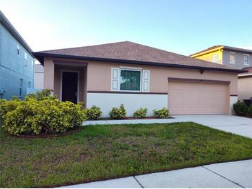 Photo one of 13504 Red Ear Ct Riverview FL 33569 | MLS U8247083