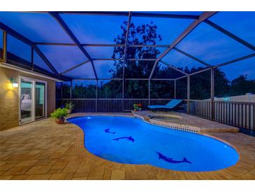 Luminous night view of a screened pool and spa with dolphin accents at 957 Westwinds Blvd, Tarpon Springs, FL 34689