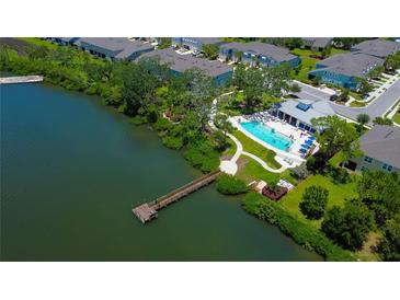Community pool and lakefront dock at 2313 Sunset Wind Loop, Oldsmar, FL 34677