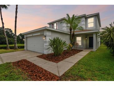 Photo one of 5807 Wrenwater Dr Lithia FL 33547 | MLS U8254888