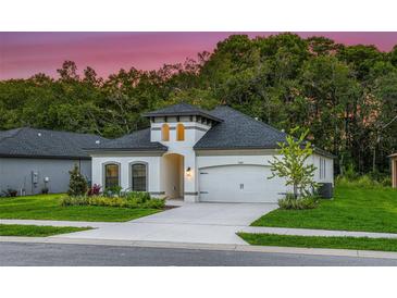 Photo one of 11443 Weaver Hollow Rd New Port Richey FL 34654 | MLS W7856129