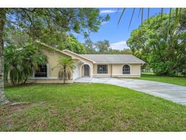 Photo one of 10099 Sleepy Willow Ct Spring Hill FL 34608 | MLS W7862507