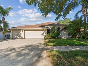Photo one of 4403 Winding River Dr Valrico FL 33596 | MLS W7863147