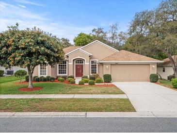 Photo one of 467 Quane Ave Spring Hill FL 34609 | MLS W7863238