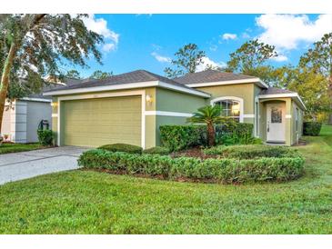 House exterior, single-story home with green walls and landscaping at 3211 Banyan Hill Ln, Land O Lakes, FL 34639