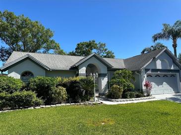 Photo one of 15101 Bald Eagle St Tampa FL 33625 | MLS W7864236