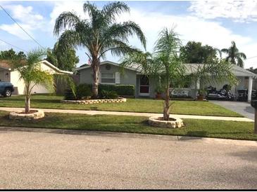 Ranch-style home with palm trees and well-maintained landscaping at 5144 Chime Way, Holiday, FL 34690