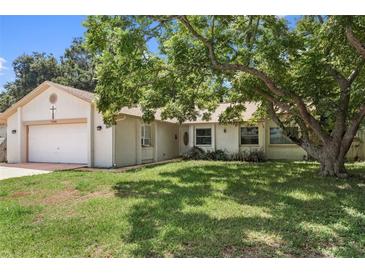 Single-story home with a large tree in the front yard at 7208 Clouchester Ct, Hudson, FL 34667