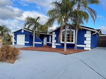 Blue house with white trim, attached garage, and palm trees at 7446 Donegal St, New Port Richey, FL 34653