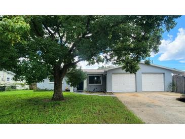 Ranch style home with a large tree in the front yard at 3814 Holiday Lake Dr, Holiday, FL 34691