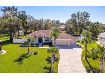 Single-Gathering home with a large backyard, three-car garage, and palm trees at 12224 Mango Ct, Spring Hill, FL 34609